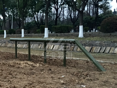 ��(d��)ľ��