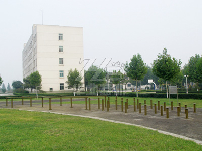 �����ߣ�÷�����������ۘ�